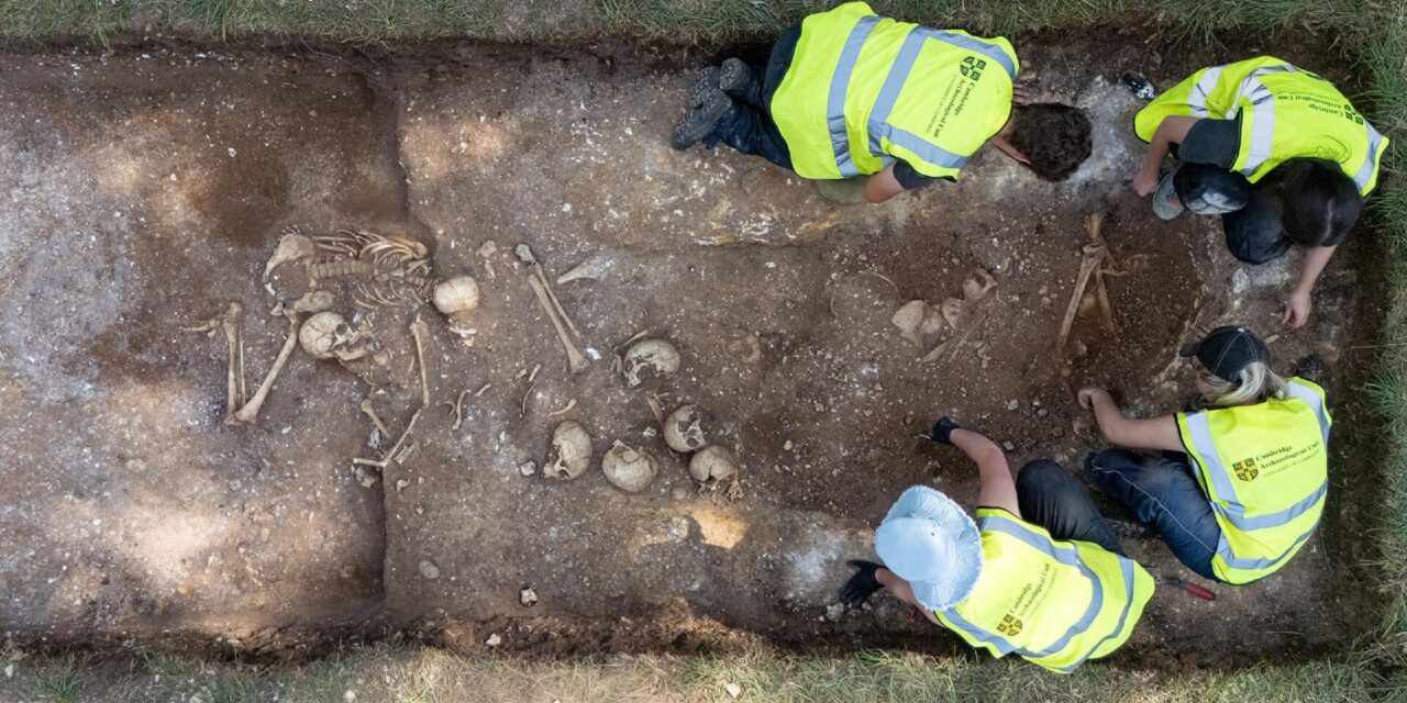 Groapă comună din Epoca Vikingă, descoperită lângă Cambridge: trupuri mutilate, execuții și „uriașul” care a suferit o operație pe creier