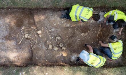 Groapă comună din Epoca Vikingă, descoperită lângă Cambridge: trupuri mutilate, execuții și „uriașul” care a suferit o operație pe creier