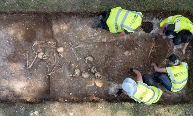 Groapă comună din Epoca Vikingă, descoperită lângă Cambridge: trupuri mutilate, execuții și „uriașul” care a suferit o operație pe creier