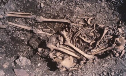 Ritual straniu din Epoca Pietrei, dezvăluit de ADN – Adolescentă îngropată cu oasele tatălui