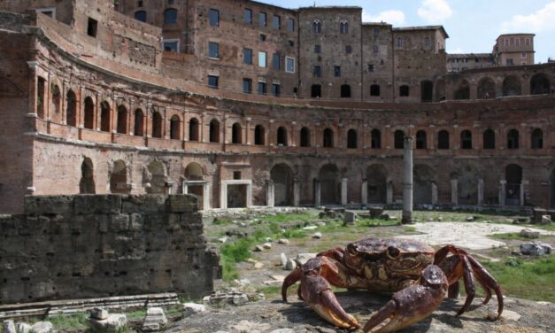 Creaturi uriașe trăiesc sub ruinele din Roma antică