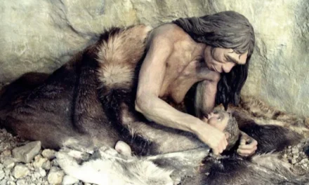Neanderthalienii și canibalismul selectiv: violență, foamete și rivalitate în Europa ultimei glaciațiuni