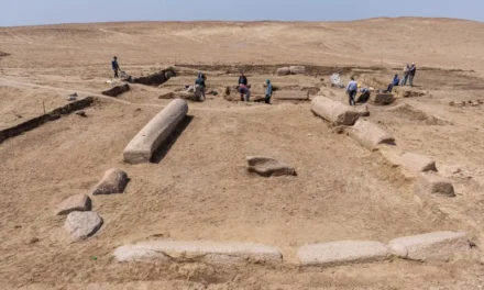 Un sit de artă rupestră, vechi de 10.000 de ani, descoperit în Peninsula Sinai