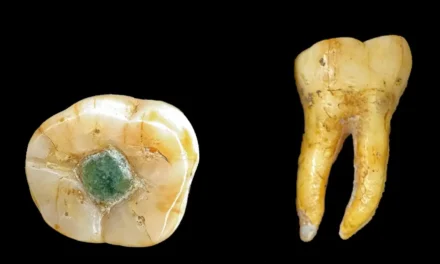 Descoperire șocantă: mayașii foloseau pietre prețioase ca plombe dentare