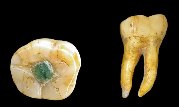 Descoperire șocantă: mayașii foloseau pietre prețioase ca plombe dentare
