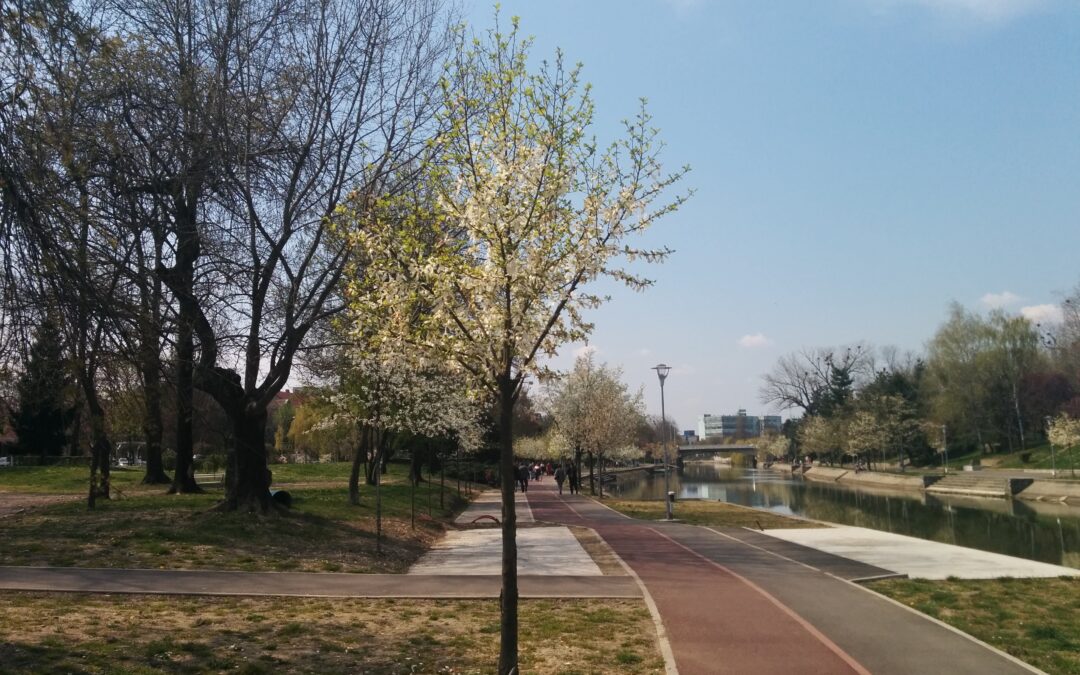 Destinația perfectă de primăvară în România: orașul unde totul înflorește spectaculos