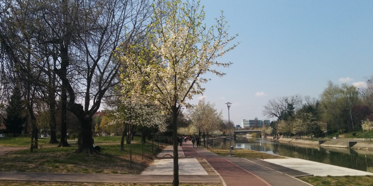 Destinația perfectă de primăvară în România: orașul unde totul înflorește spectaculos