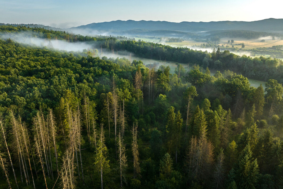 Parcul Natural Vânători Neamț - Foto - Dan Dinu