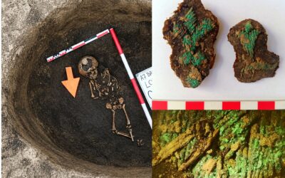 Un mormânt rar, descoperit de arheologi în Neamț, pe traseul autostrăzii A7