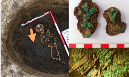 Un mormânt rar, descoperit de arheologi în Neamț, pe traseul autostrăzii A7