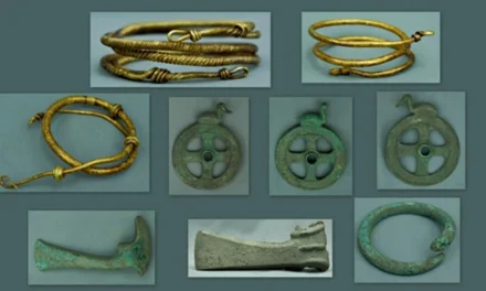 Un tezaur din epoca bronzului, descoperit cu un detector de metale în Prahova