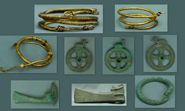 Un tezaur din epoca bronzului, descoperit cu un detector de metale în Prahova